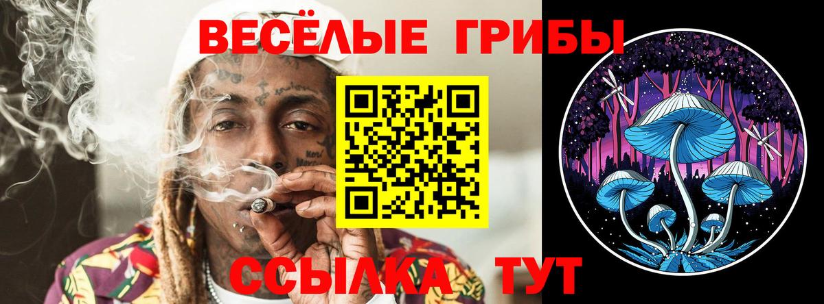 Галлюциногенные грибы Magic Shrooms  Вход с VPN  Дубна 